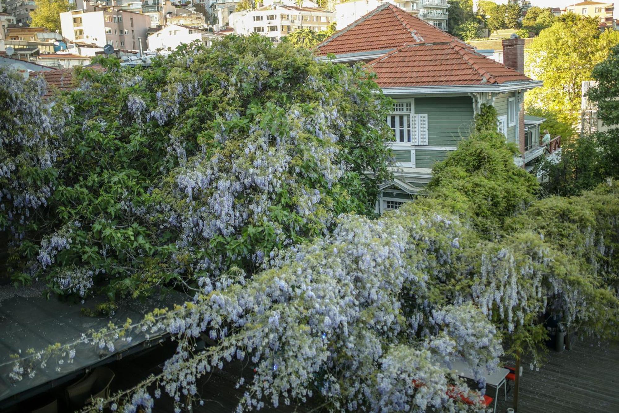 Loop Hotel Bosphorus Istanbul Eksteriør bilde